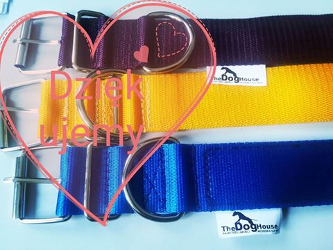 Dziękujemy Firmie The Dog House - najwyższej jakości artykuły dla zwierząt